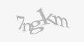 Varnostna koda